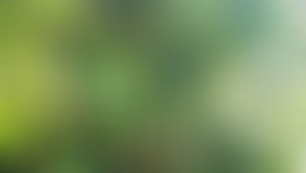 2月練習日&御朱走のお知らせ