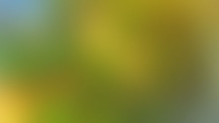 4月練習日についてのお知らせ