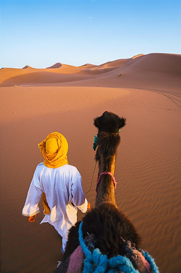 man walking on desert with camel_edited.jpg