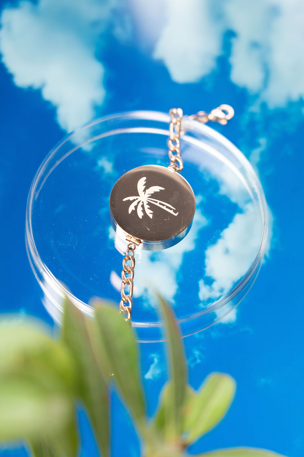 Thumbnail: Tropical palm