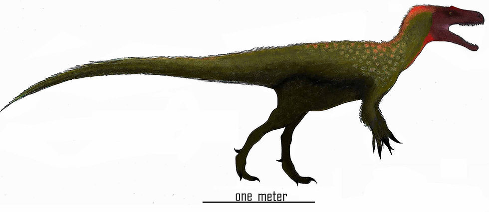 Thumbnail: cf Marshosaurus (tooth)