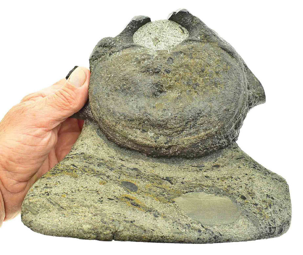 Thumbnail: Stegosaurus (vertebrae)