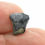 Thumbnail: Draconyx loureiroi (tooth)