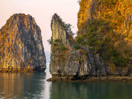 The Best of Vietnam