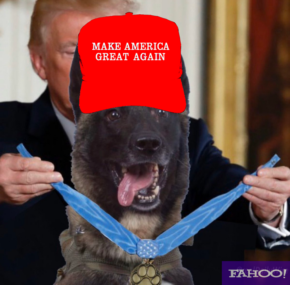 ordering betta fish online