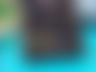 Vegan Double Chocolate Brownies