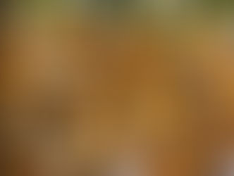 Sheet Pan Hot Maple Tofu