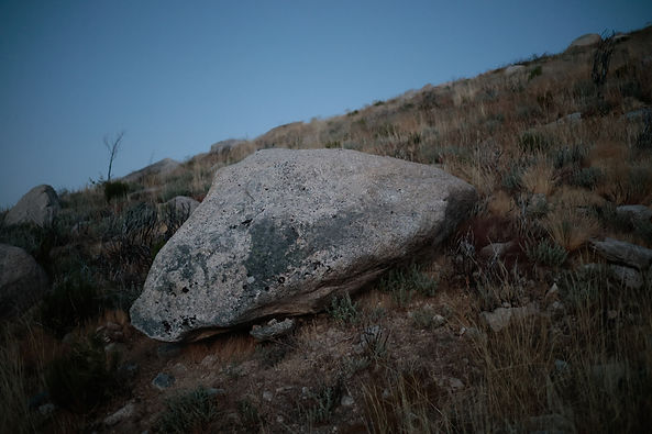 _MG_2486.jpg
