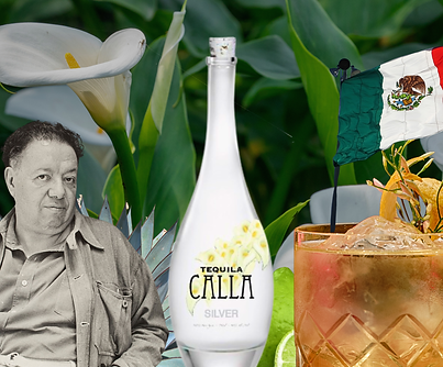 Novel CPG Tequila Alcohol.png