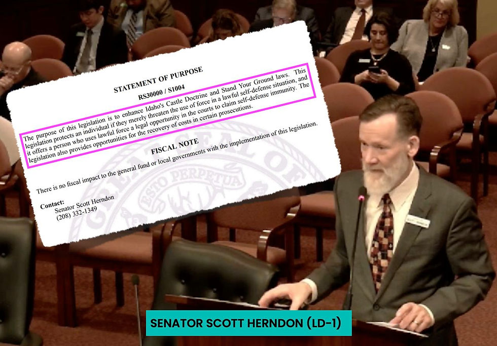 Senator Scott Herndon presents SB1004. Photo courtesy Citizens Alliance of Idaho.