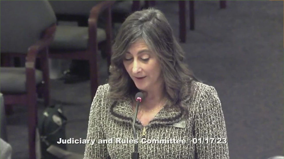 Rep. Heather Scott presenting HB66.