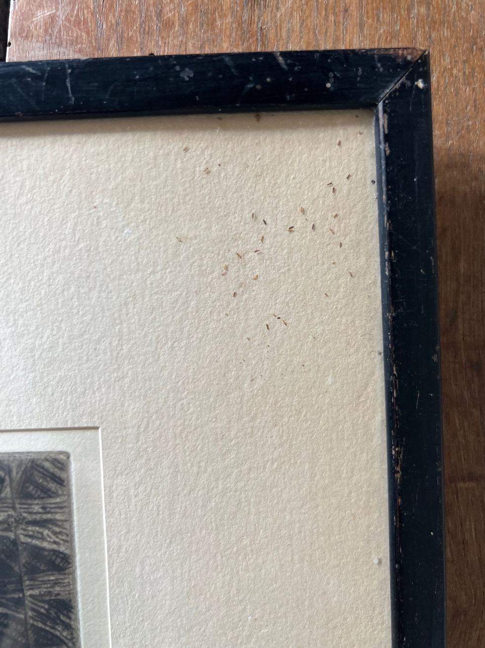 Thumbnail: Framed Antique Lithograph of  Westminster School