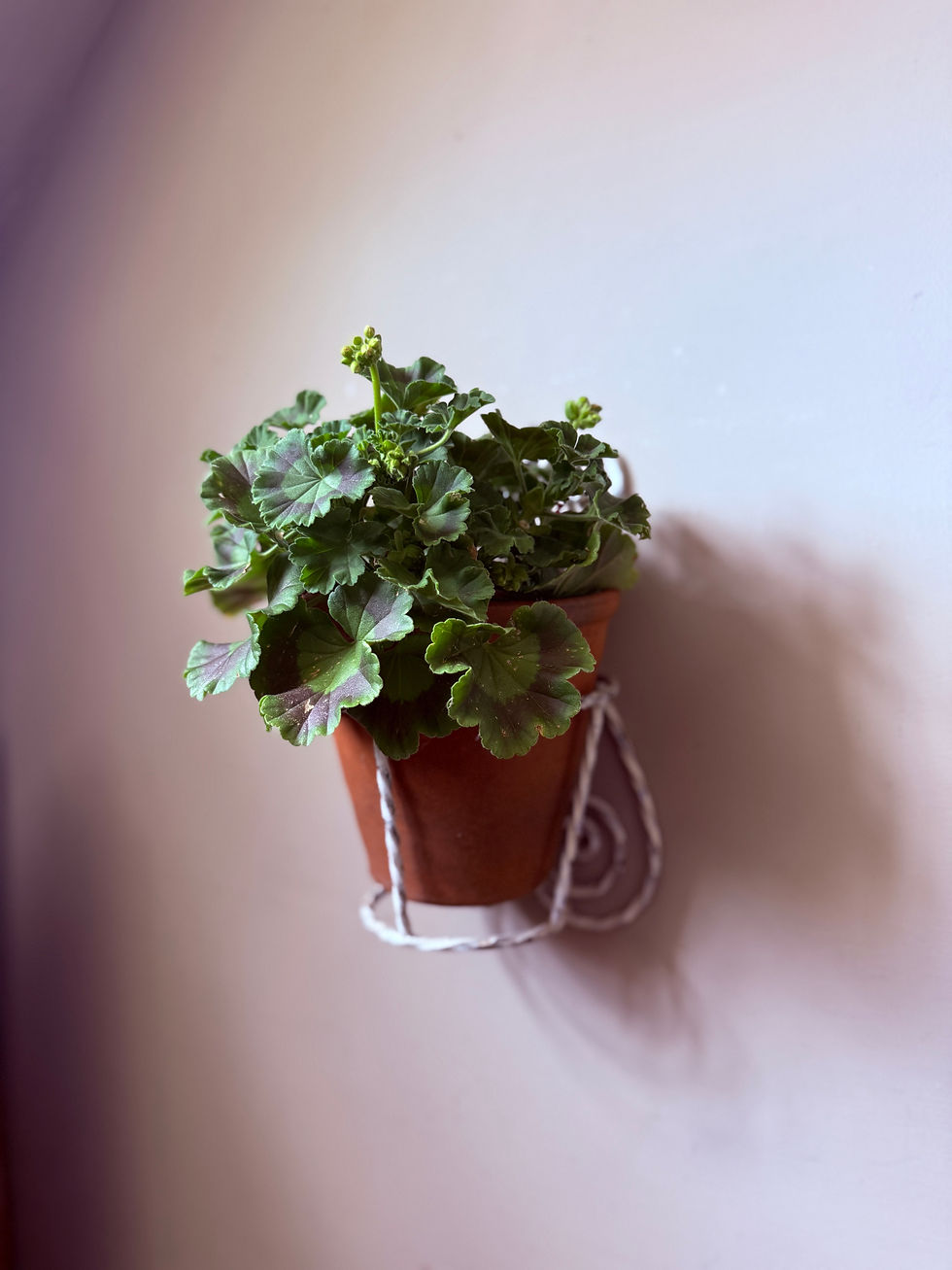 Thumbnail: Vintage Wirework Pot Holder