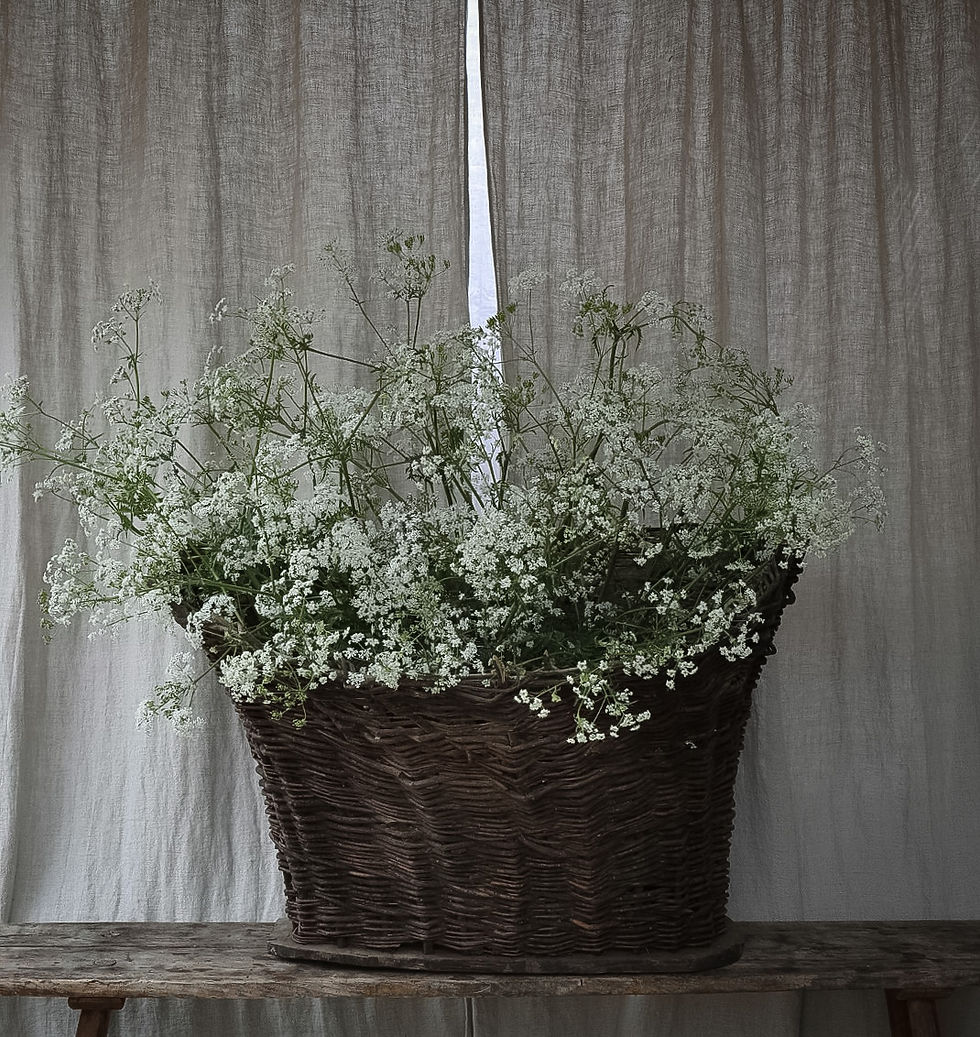 Thumbnail: Huge Antique French Harvest Basket 