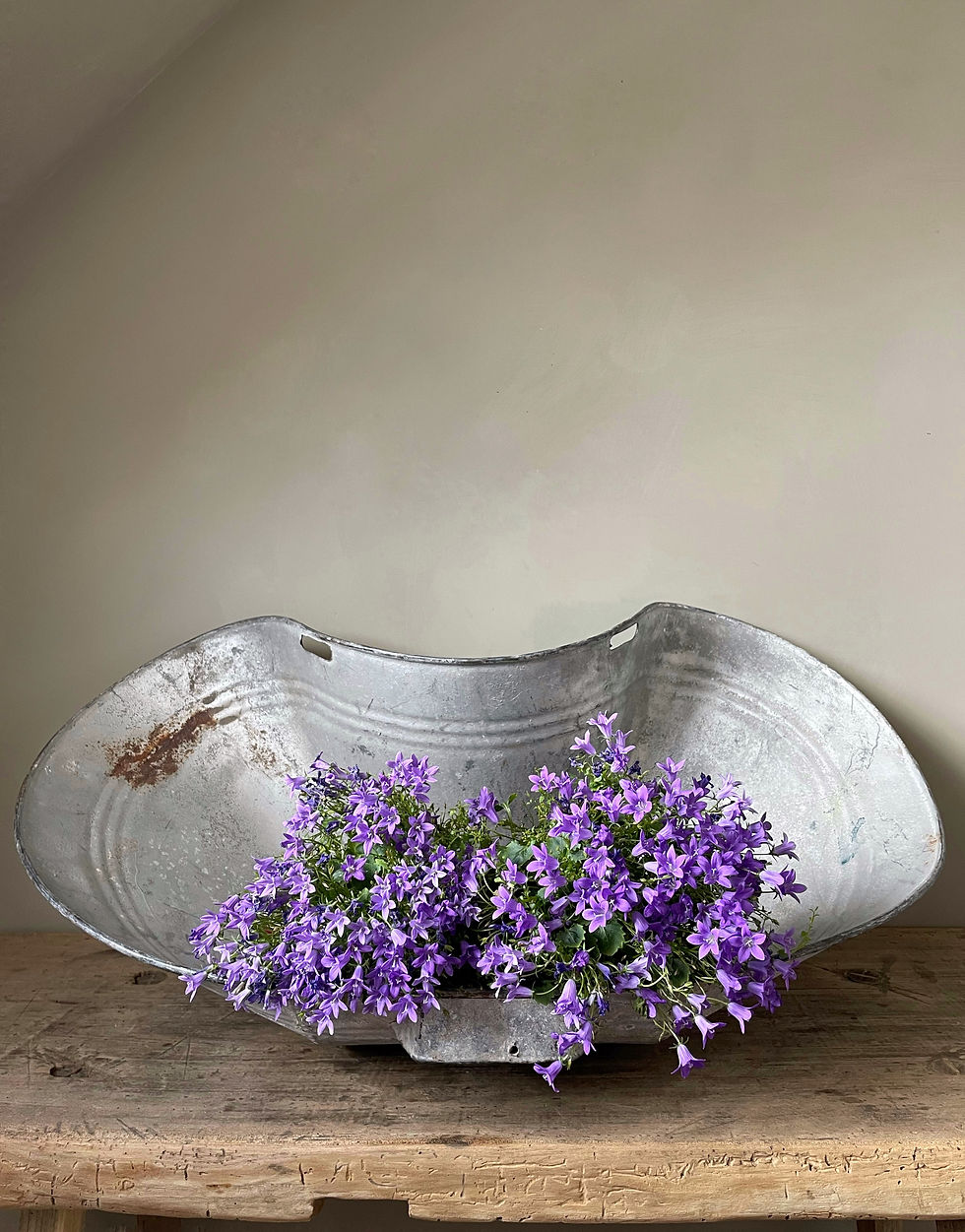 19th Century French Grape Hod