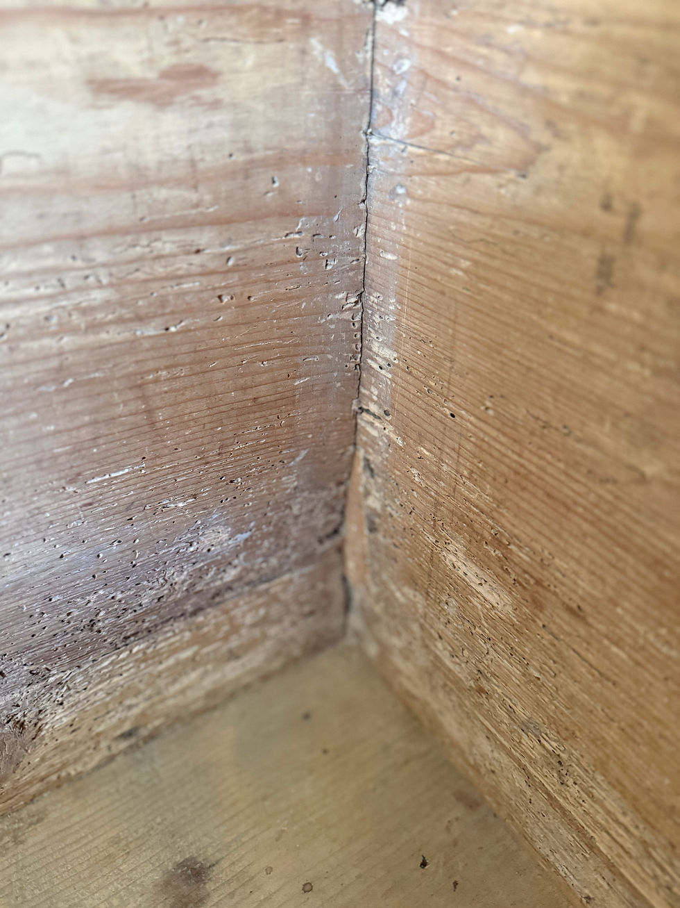 Thumbnail: 19th Century Marriage Chest