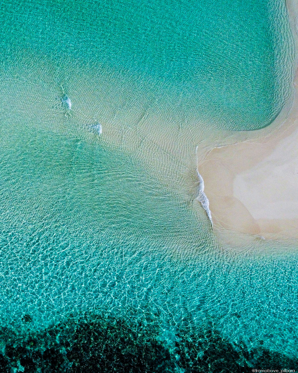 RemoteMediaFile_6619236_0_2022_01_06_16_18_36