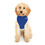 Thumbnail: Dog/Cat Hoodie for your chronic illness support pet