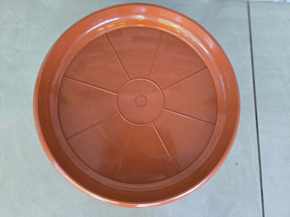 Planting pots Dishes