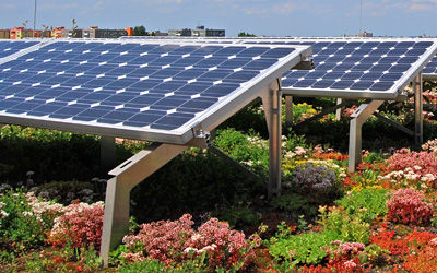Green & Cool Roofs Ordinances