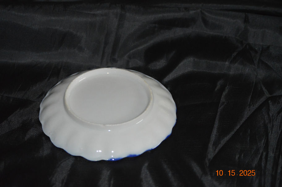 Nippon Saucer-Back