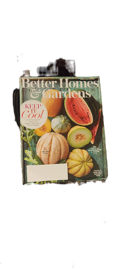 BHG Magazine 8/20