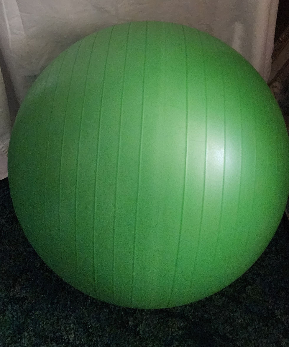 Exercise Ball by Golds Gym