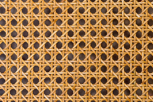 AdobeStock_214666088.jpeg