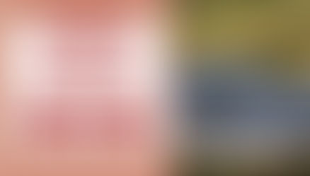 PLA DE GANTE : LA CONCERTATION CONTINUE ...