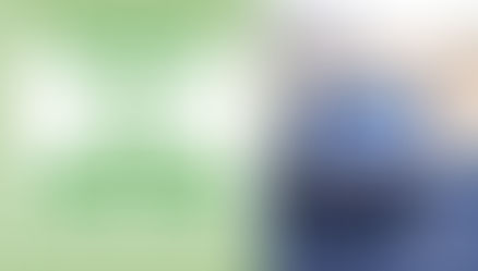 CALENDRIERS DE COLLECTE DES BACS INDIVIDUELS 2026