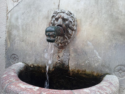 Vinça par ©Conflent Canigo (17).jpg