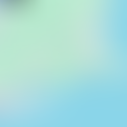 The First Leg - 2024