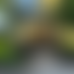 Thousand Island Yacht Club