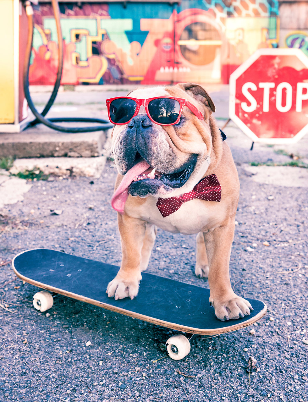 AdobeStock_118292096.jpeg