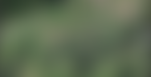 Recent aerial photograph showing the modifications , river straightening, wetland draining, riparian vegetation loss, modified hydrology