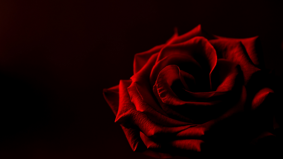 Cabeçalho das Homes do site (1).png