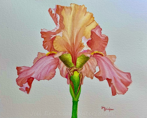 本33／Painting Fresh Florals in Watercolor Blooming Under Pressure