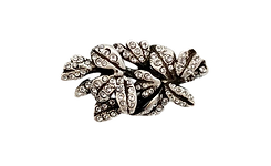 YS50165_edited.png