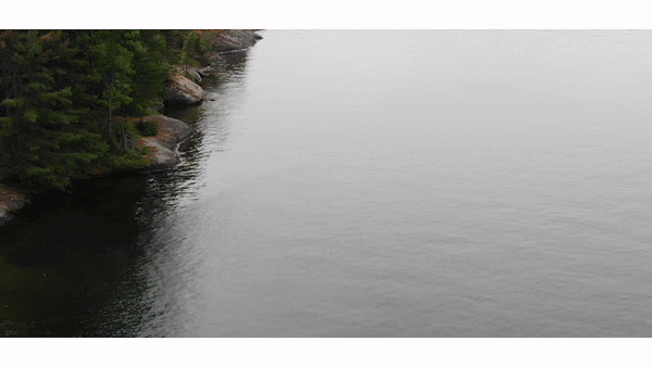 ray gif.gif