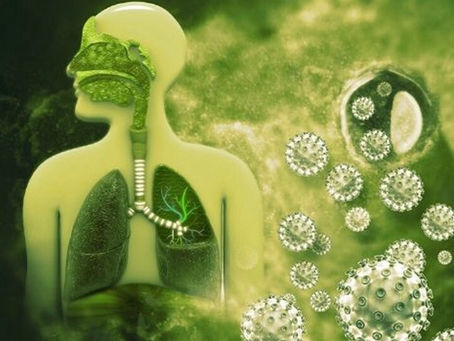 Diyafram Kası Hakkında Ne Biliyorsun?