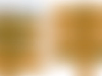 The Business of Camp: We all have to make the numbers work, but how do we keep up with it?