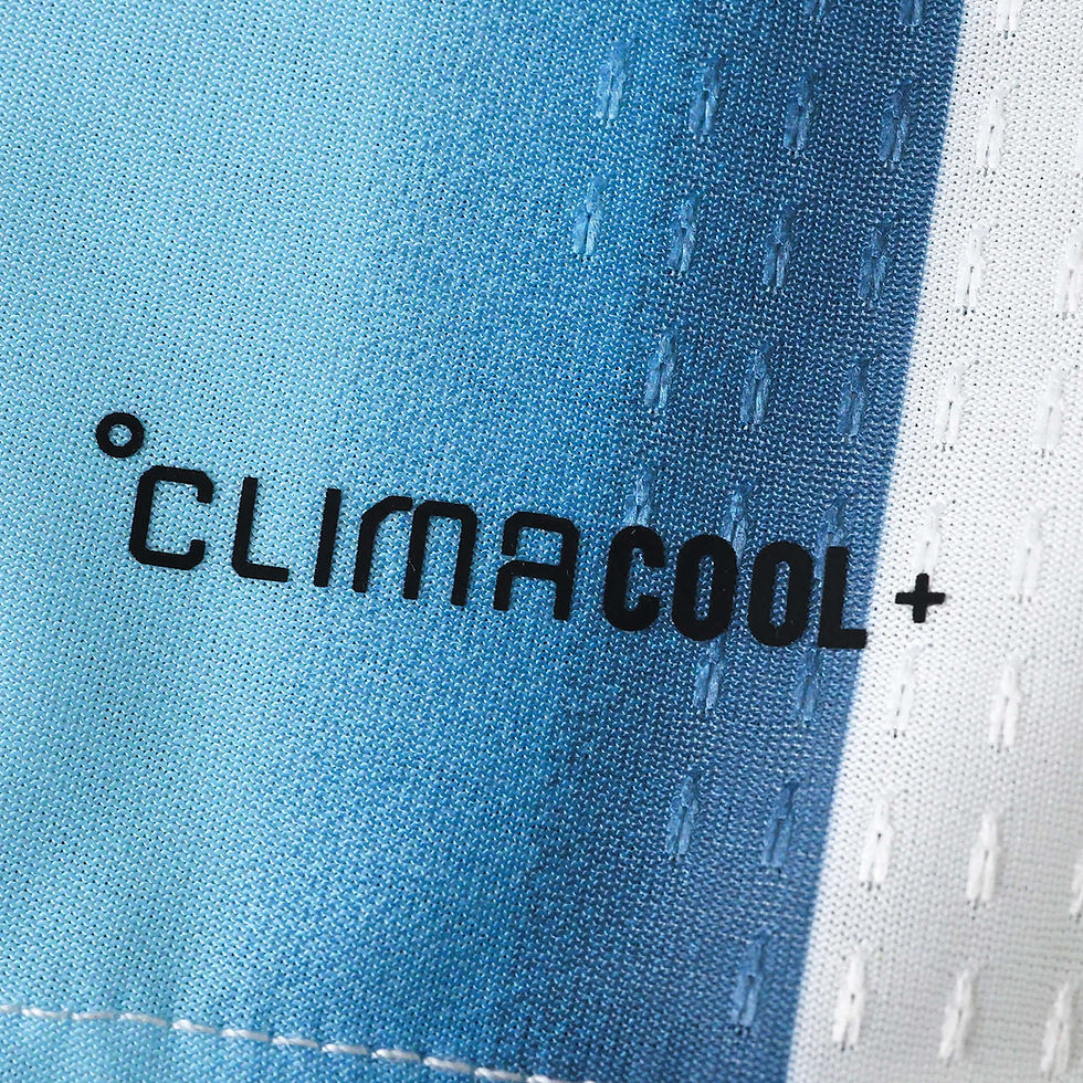 Miniatura: Argentina home kit Mundial 2026 player version