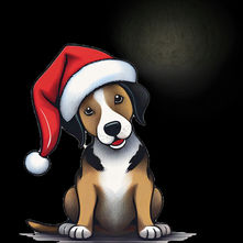 Gewinnspiel für alle - Wie oft findest du mich auf der Homepage?