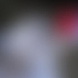 Foto 2 - Die fliegende Weihnachtsmütze ...