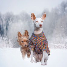 Foto 12 - "Dreamteam"