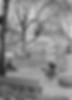w-Little Portugal 1 BW.jpg