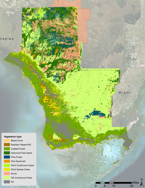 Everglades National Park and Big Cypress National Preserve