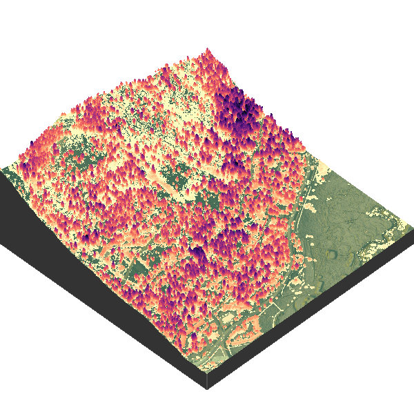 Olympic Valley lidar