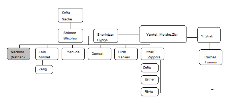 natan tree 1.png