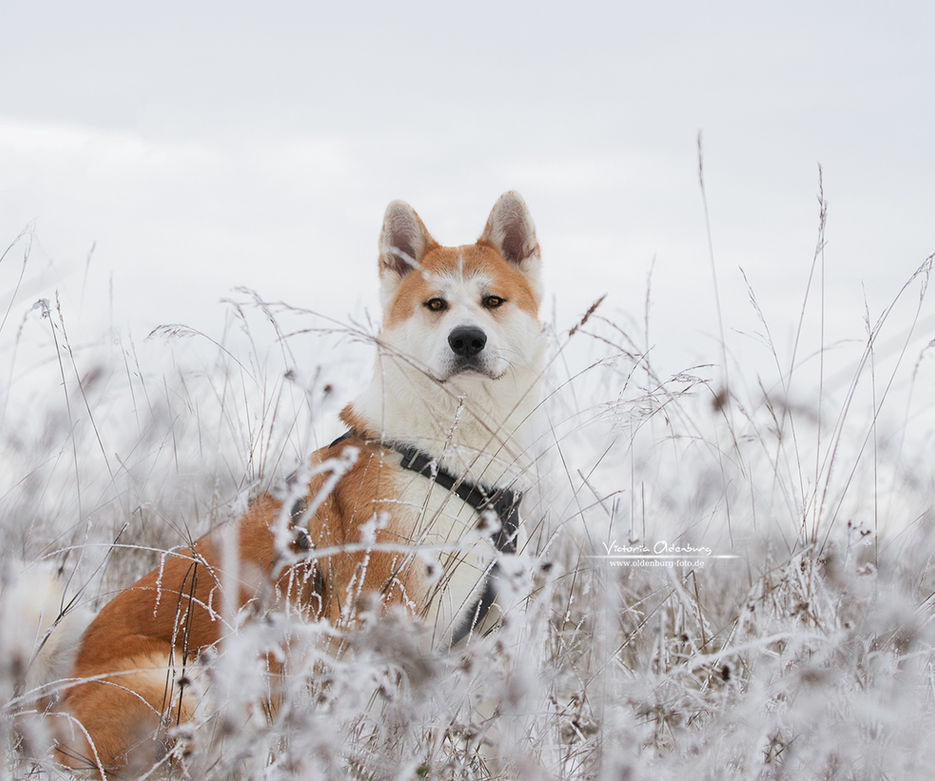 _MG_1758 INTERNET.jpg